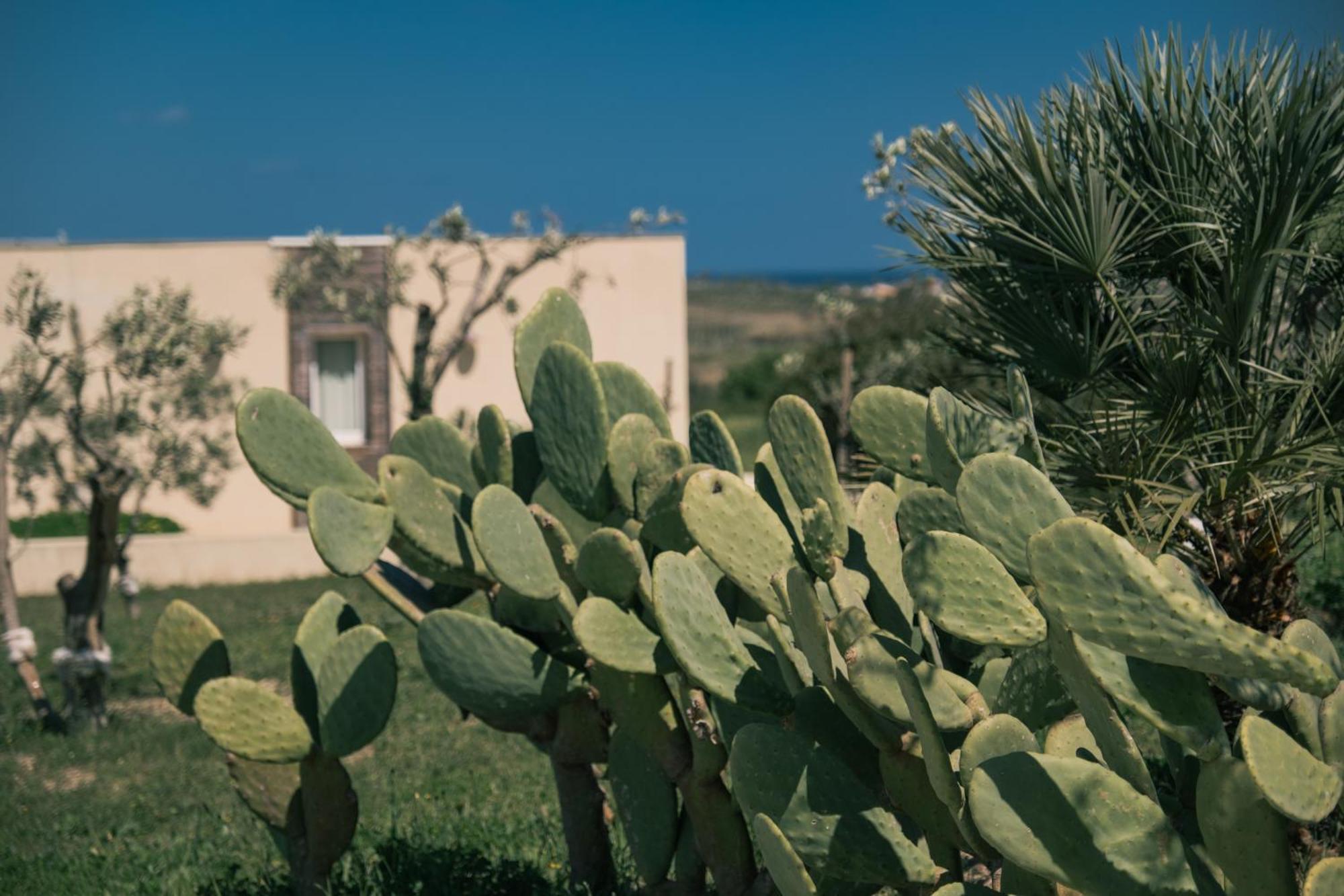 New Exclusive Lodges, Marzamemi, Noto Pachino Eksteriør billede